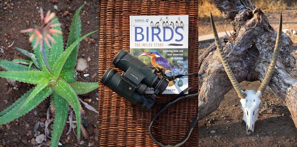 Antares Bush Camp & Safaris 33/50