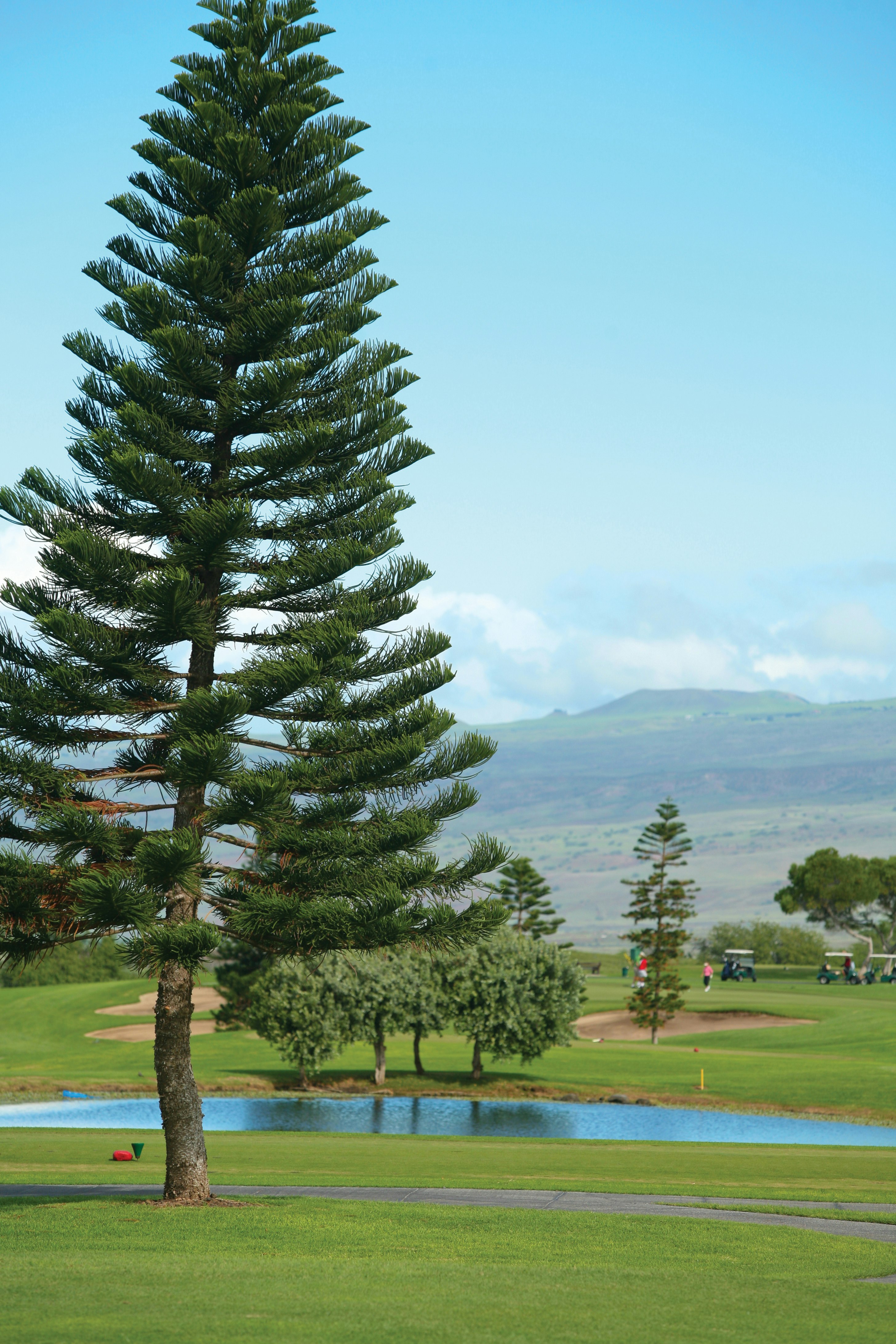 Paniolo Greens at Waikoloa Village 46/79