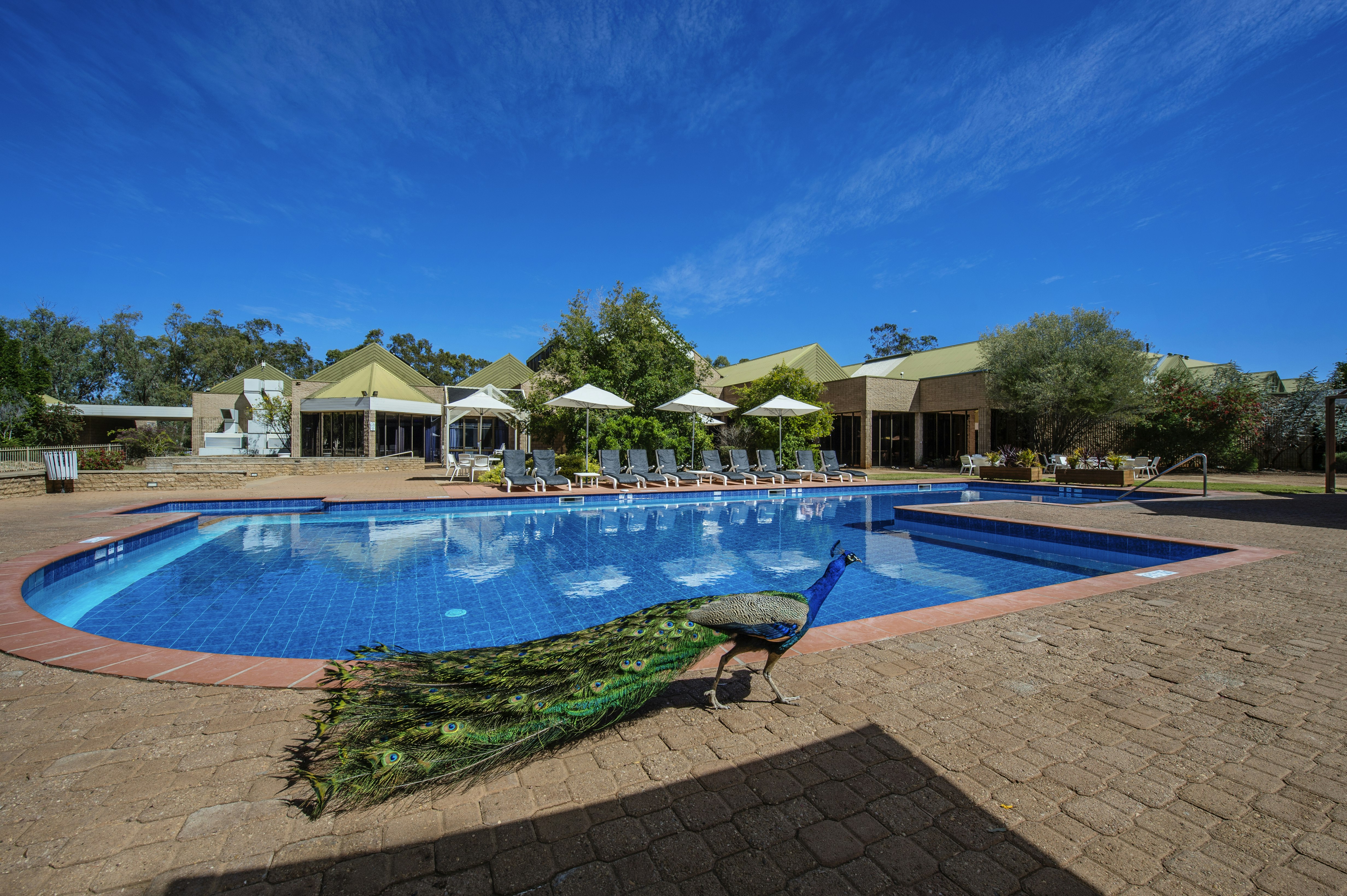 Doubletree By Hilton Alice Springs 36/79