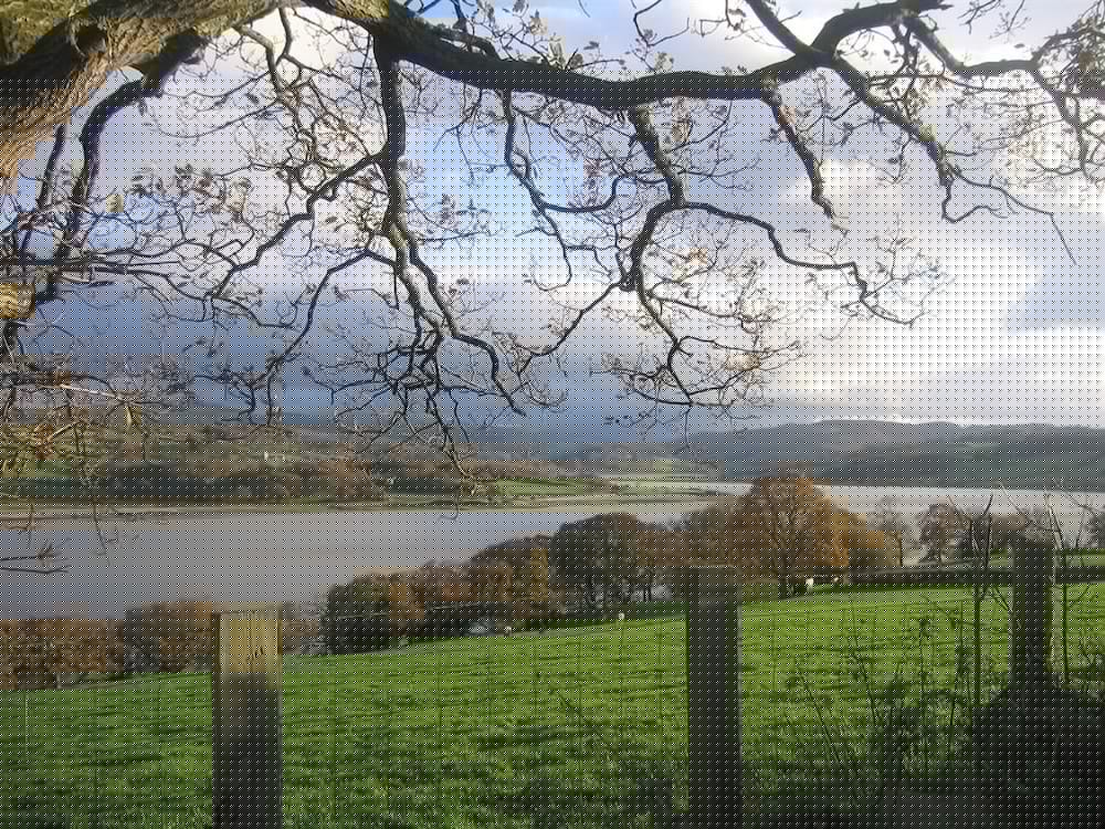 Glan Heulog Bed and Breakfast 27/59