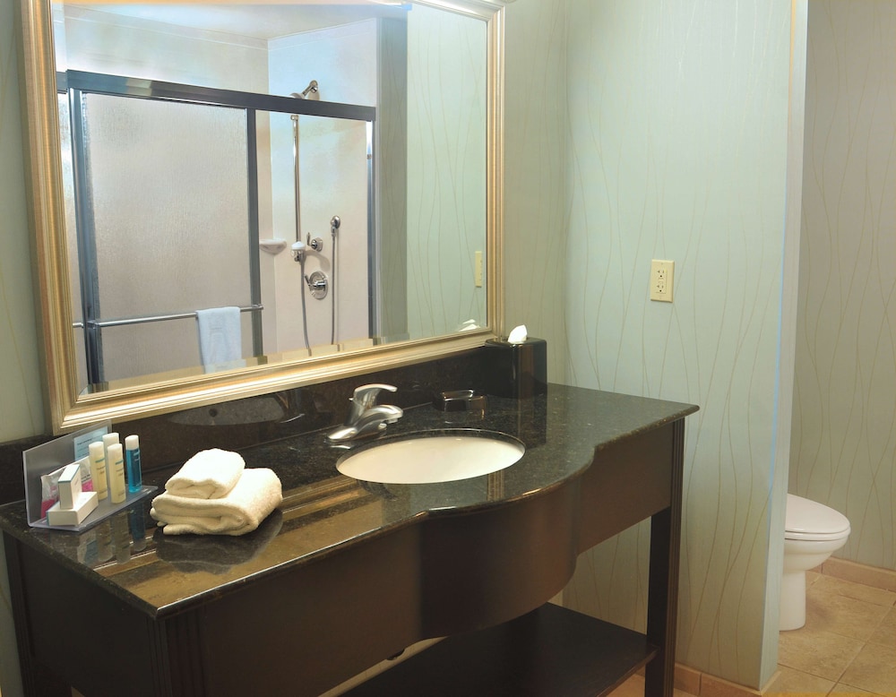 Hampton Inn Gadsden-Attalla I-59 8/28