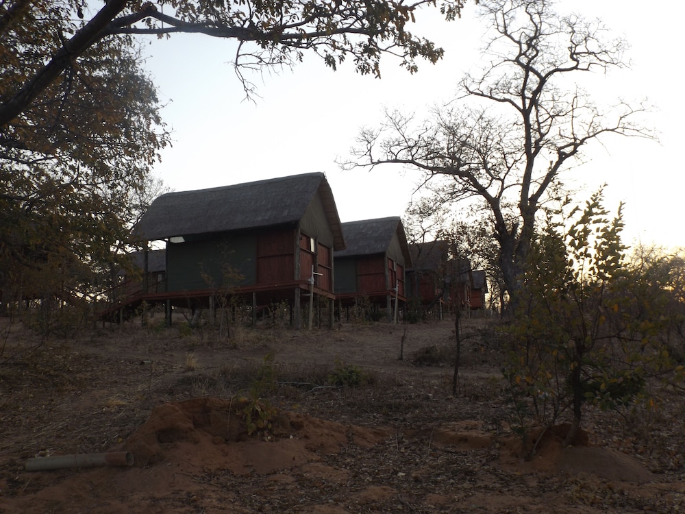 Lion Roars Lodge 41/46