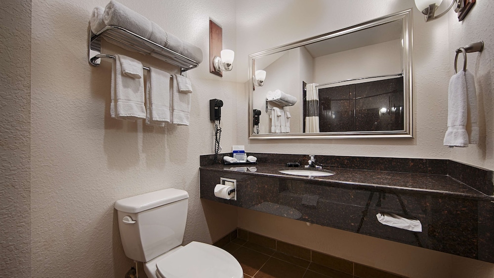 Best Western Plus Greenville South 16/41