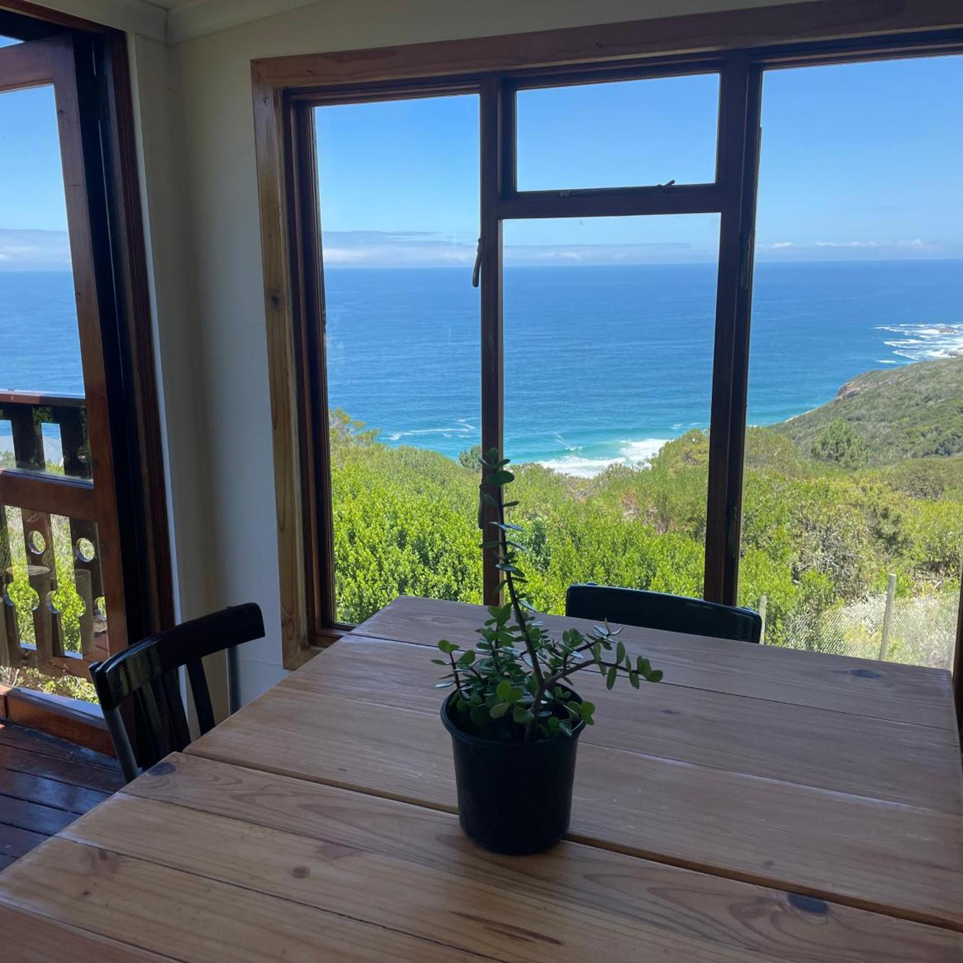 Blue Whale Resort 29/50