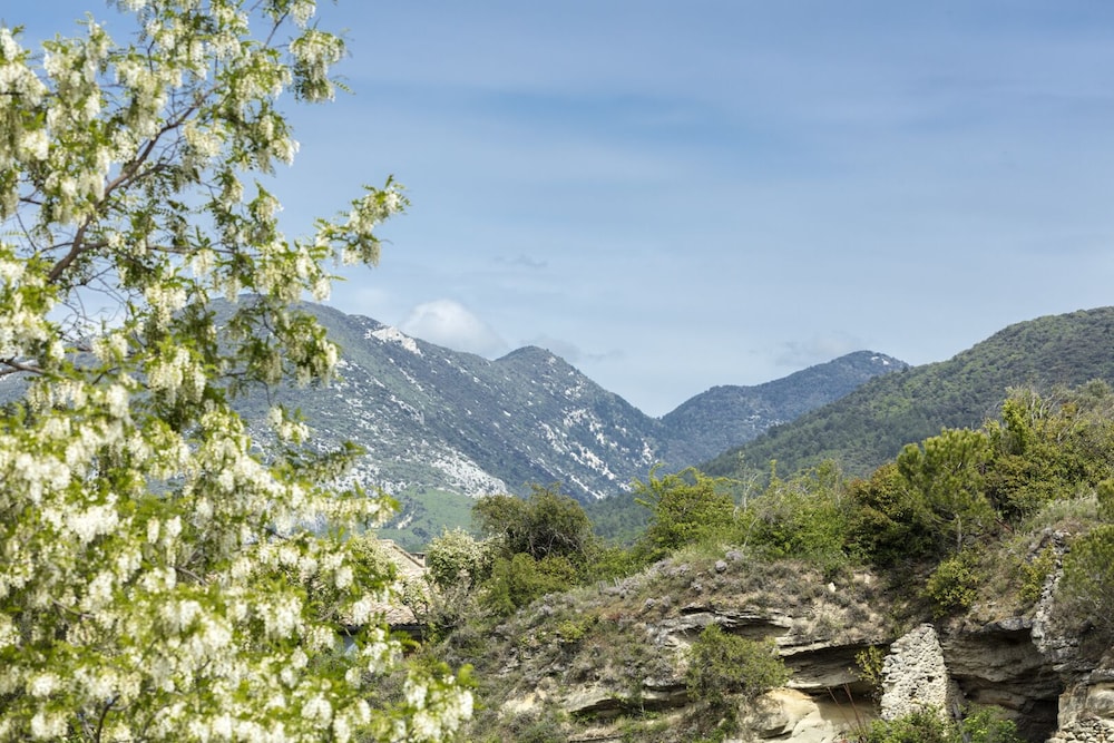 Garden & City Mont Ventoux - Malaucene 36/50