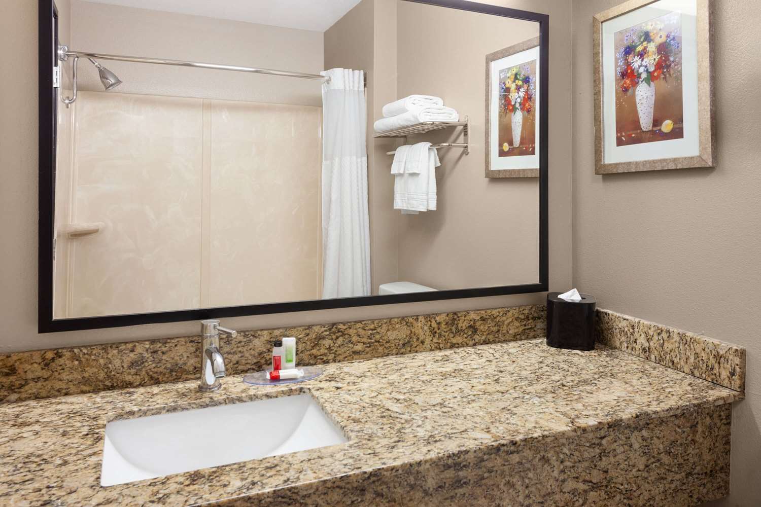 Americinn By Wyndham Hudson 17/20