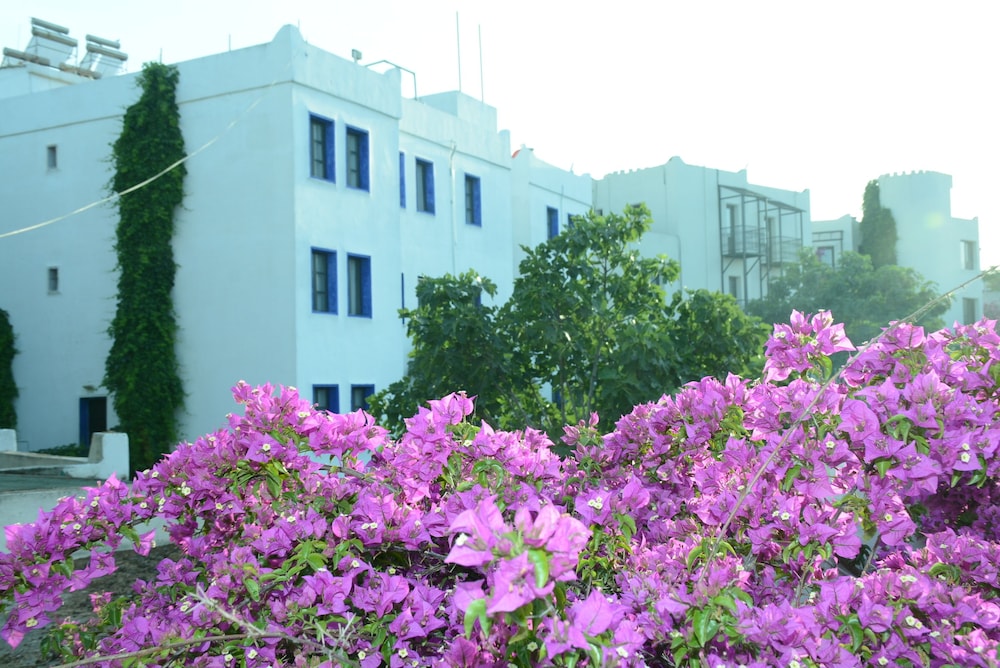 Bodrum Park 18/32