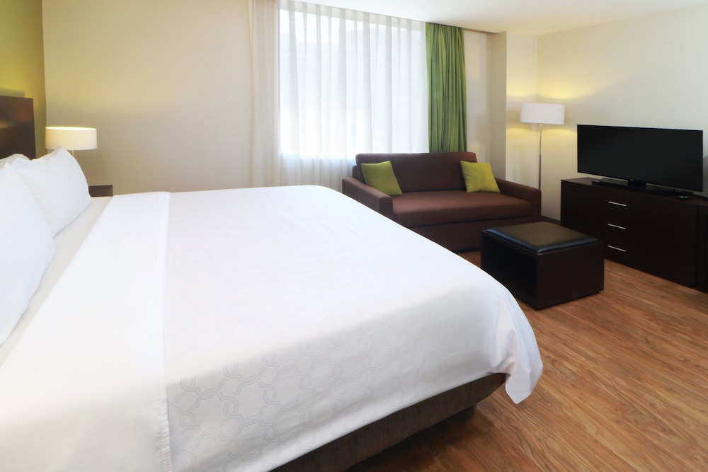 Studio, Suite, Single Bed, Kitchen