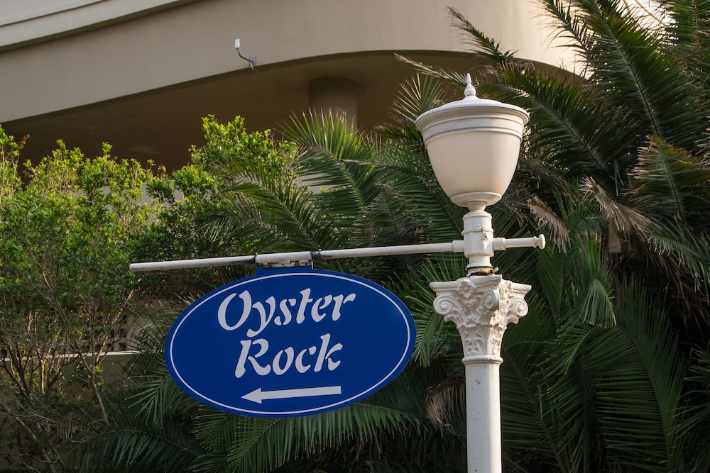 702 Oyster Rock 43/50