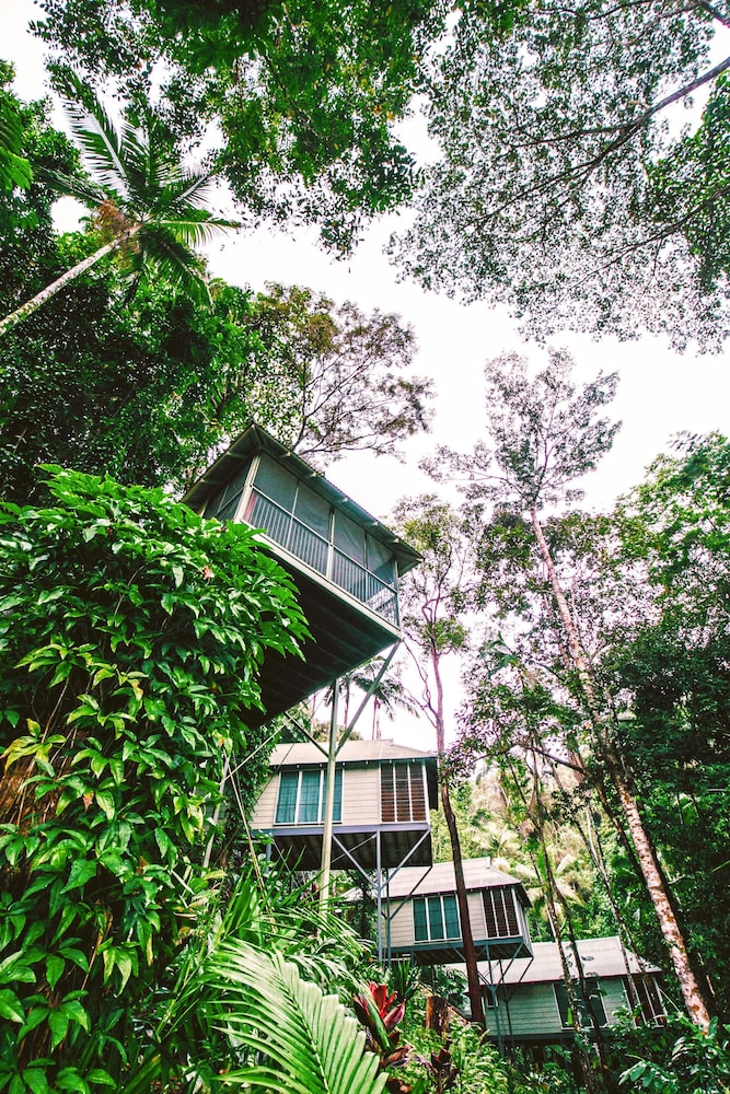 Daintree Ecolodge 6/50