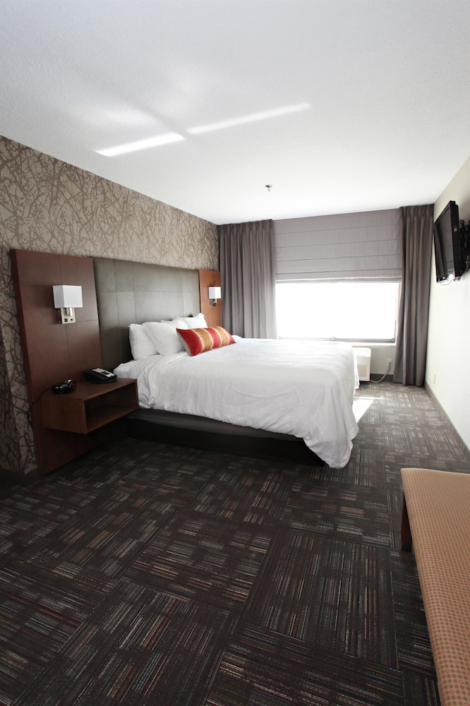 Best Western Plus Cottontree Inn 10/34