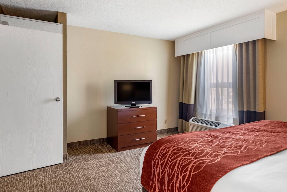 SUITE, KING BED