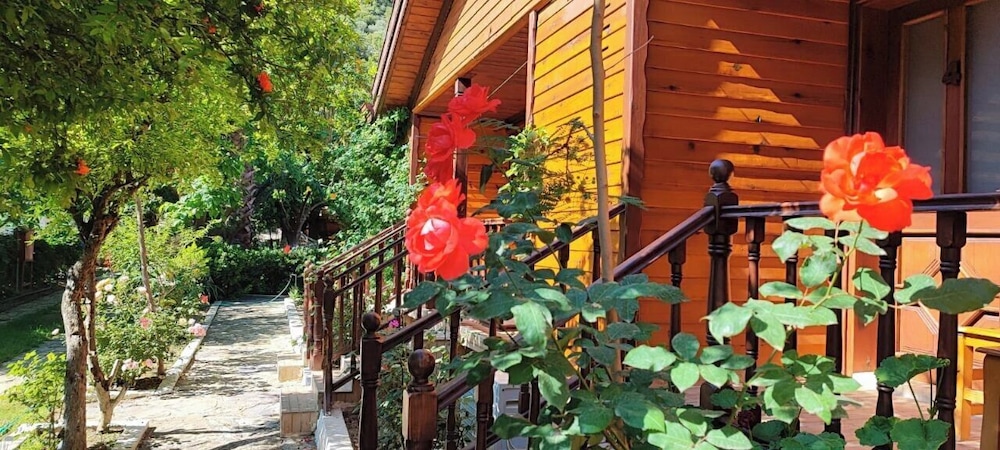 Elly's Home 60/73
