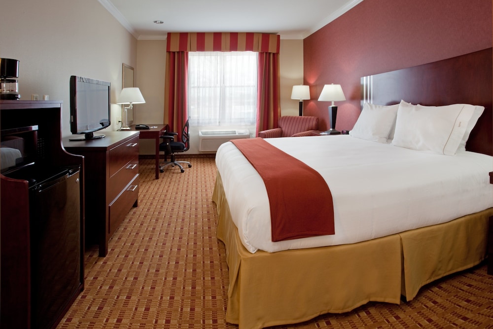 Holiday Inn Express Hotel Suites Vidor South 21/71
