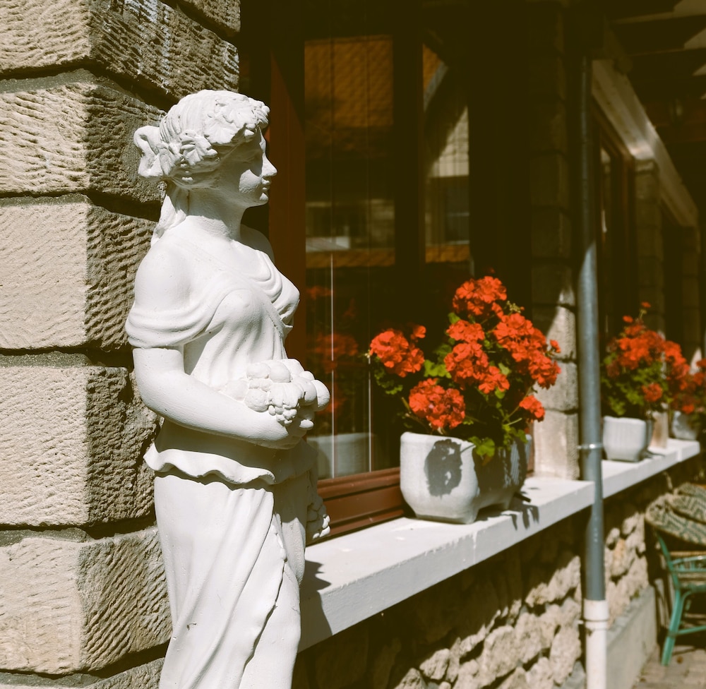 Hipotel Hostellerie Du Lys 20/49