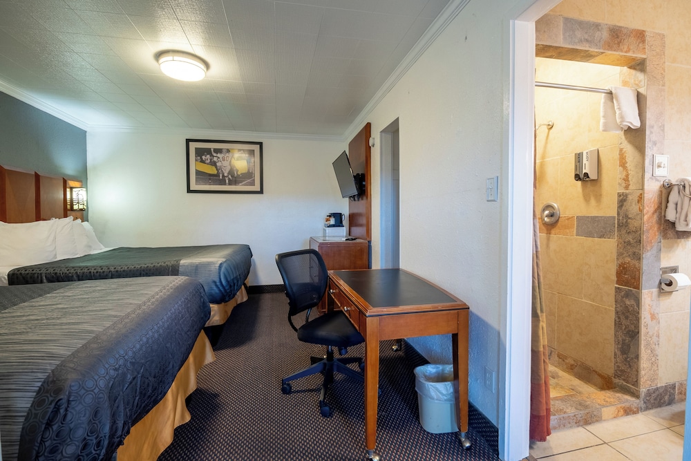 M Star Cedar City 34/50
