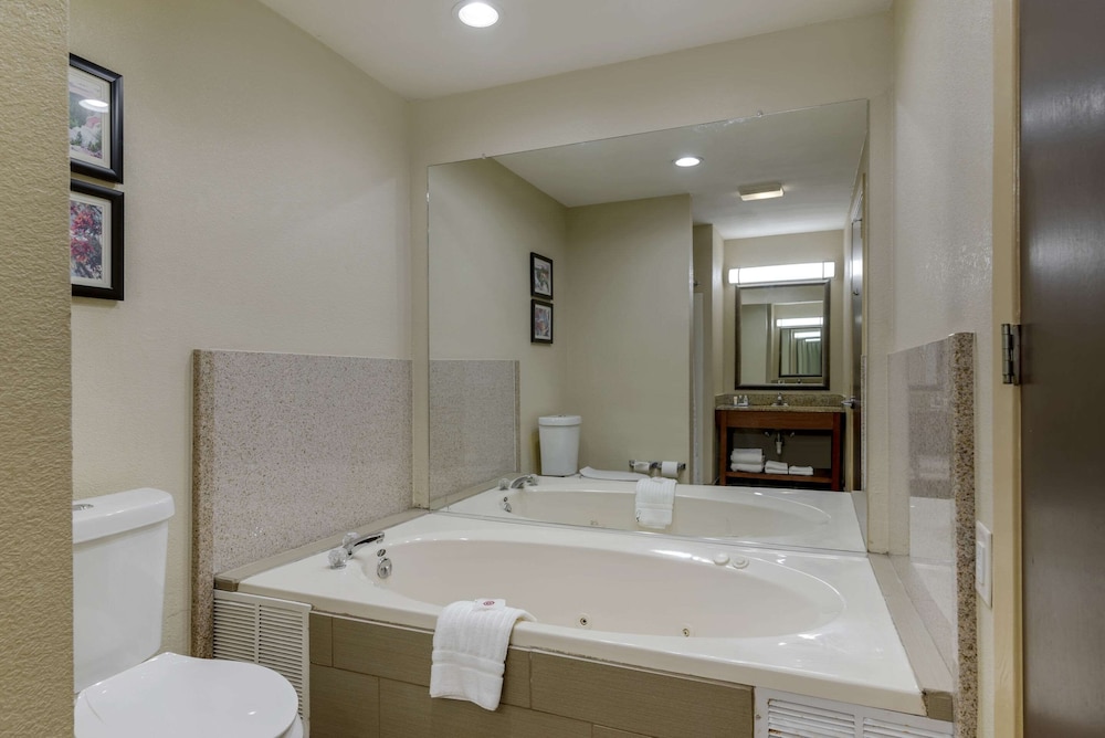 Comfort Suites Columbus State University Area 25/28