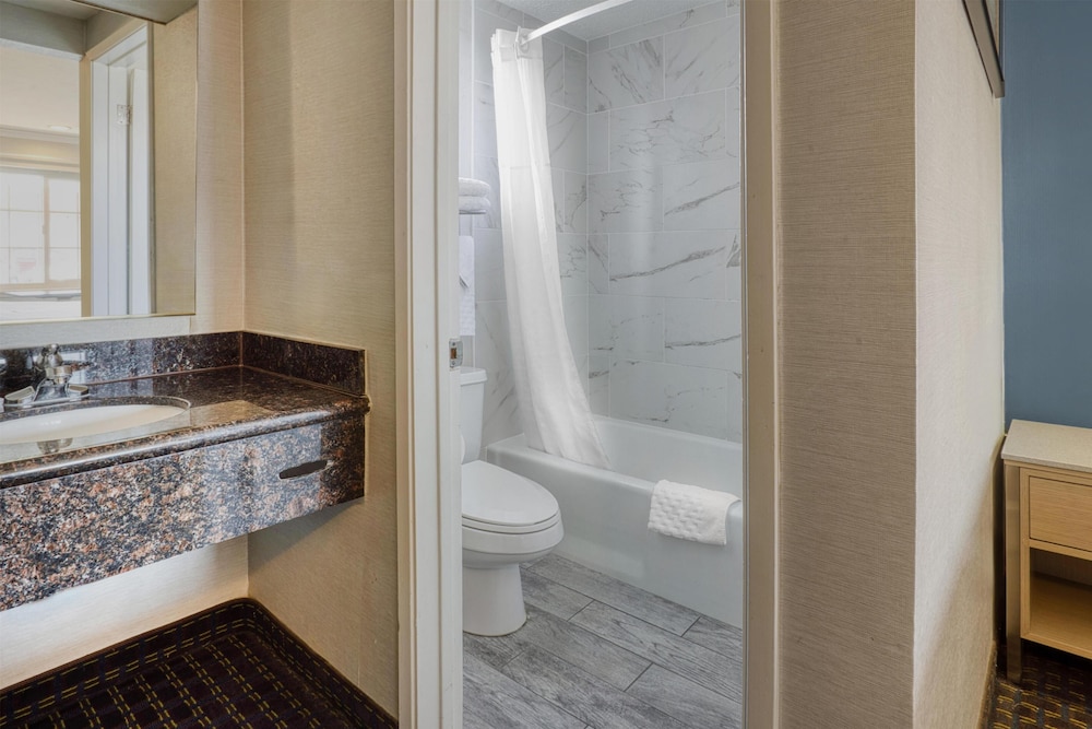 Standard, King Bed, SureStay Hotel by Best Western San Rafael 6/8