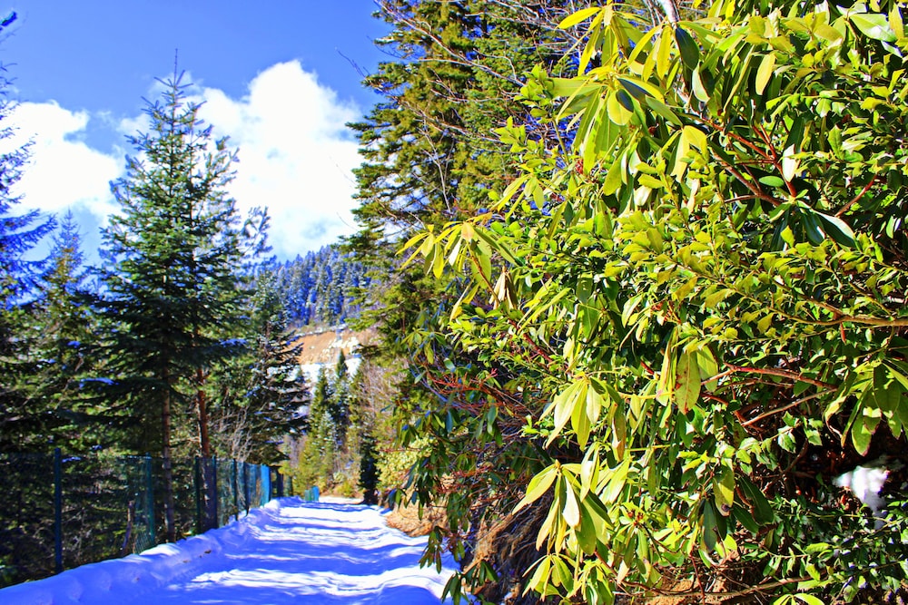 Foleya Mountain Resort 39/50