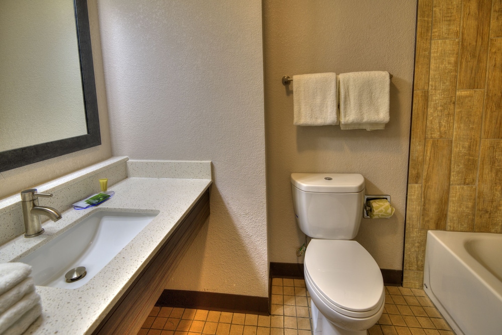 Clarion Pointe Downtown Gatlinburg 18/32