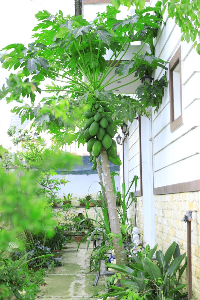 Hoai Huong Homestay 47/50