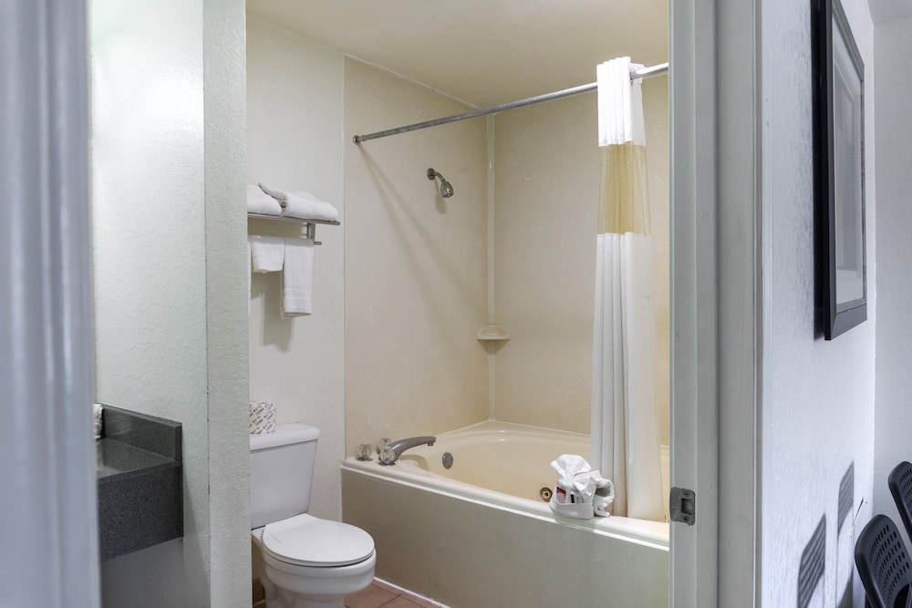 Oyo Inn And Suites Medical Center San Antonio 22/47