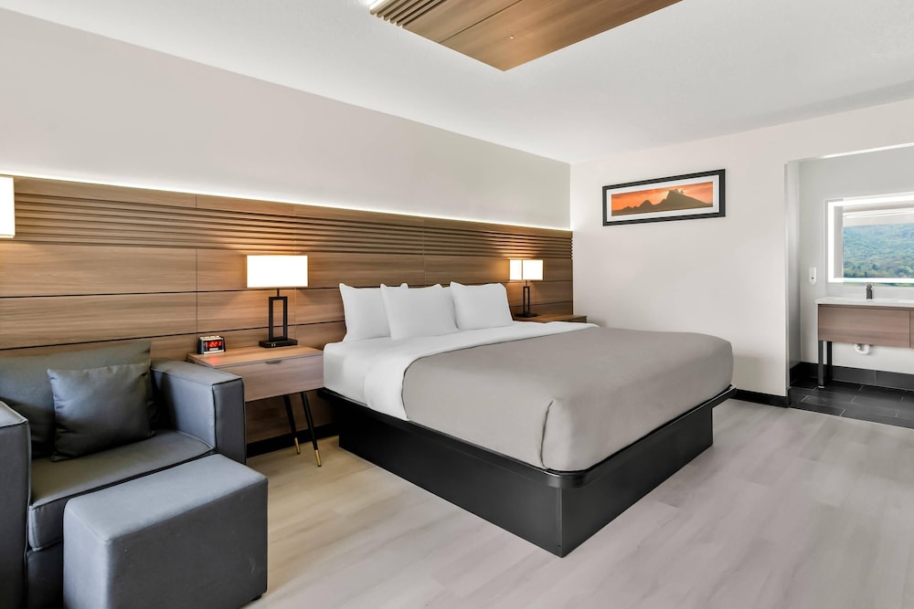 غرفة بسرير كينج لذوي الإعاقة، Quality Inn & Suites Wytheville 3/7