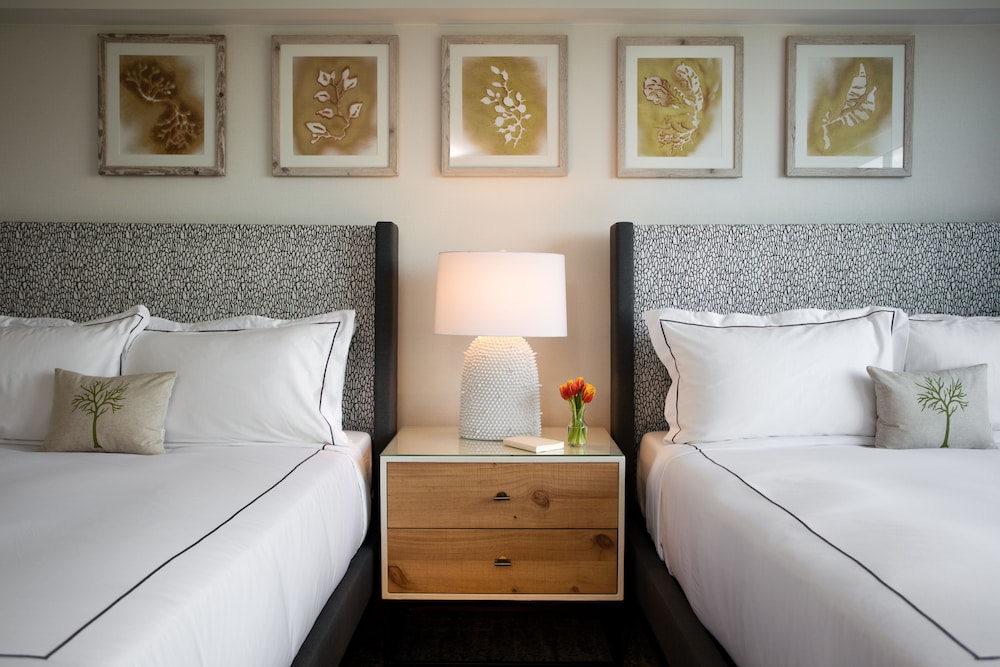 Glover Park Hotel Georgetown 10/54