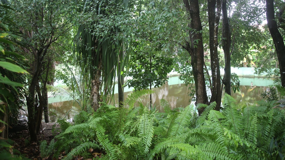 HOTEL POUSADA DO BURITI 55/59
