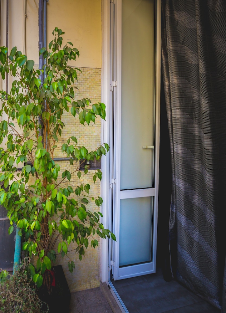 Domus Alberti 4/50