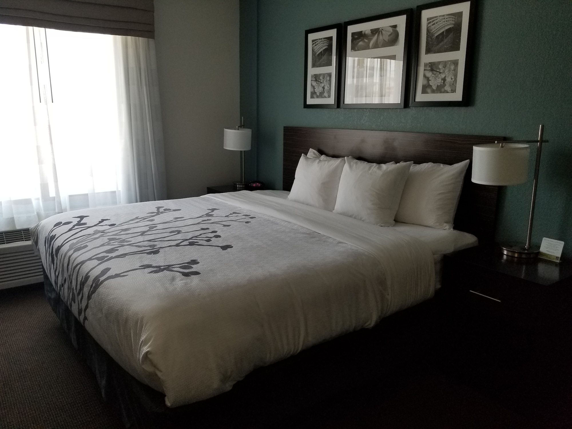 Suite, King Bed, Sofa