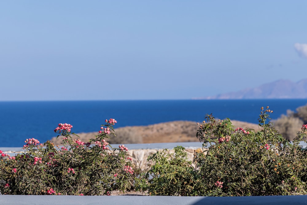 Desiterra Santorini 73/76
