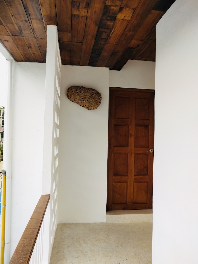 Canary Guesthouse photo3