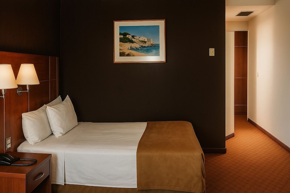 Hotel Soleil Business Class Celaya 15/49
