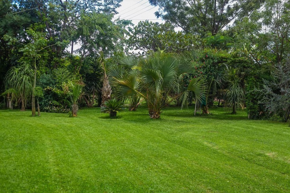 Palmwood Lodge 29/44