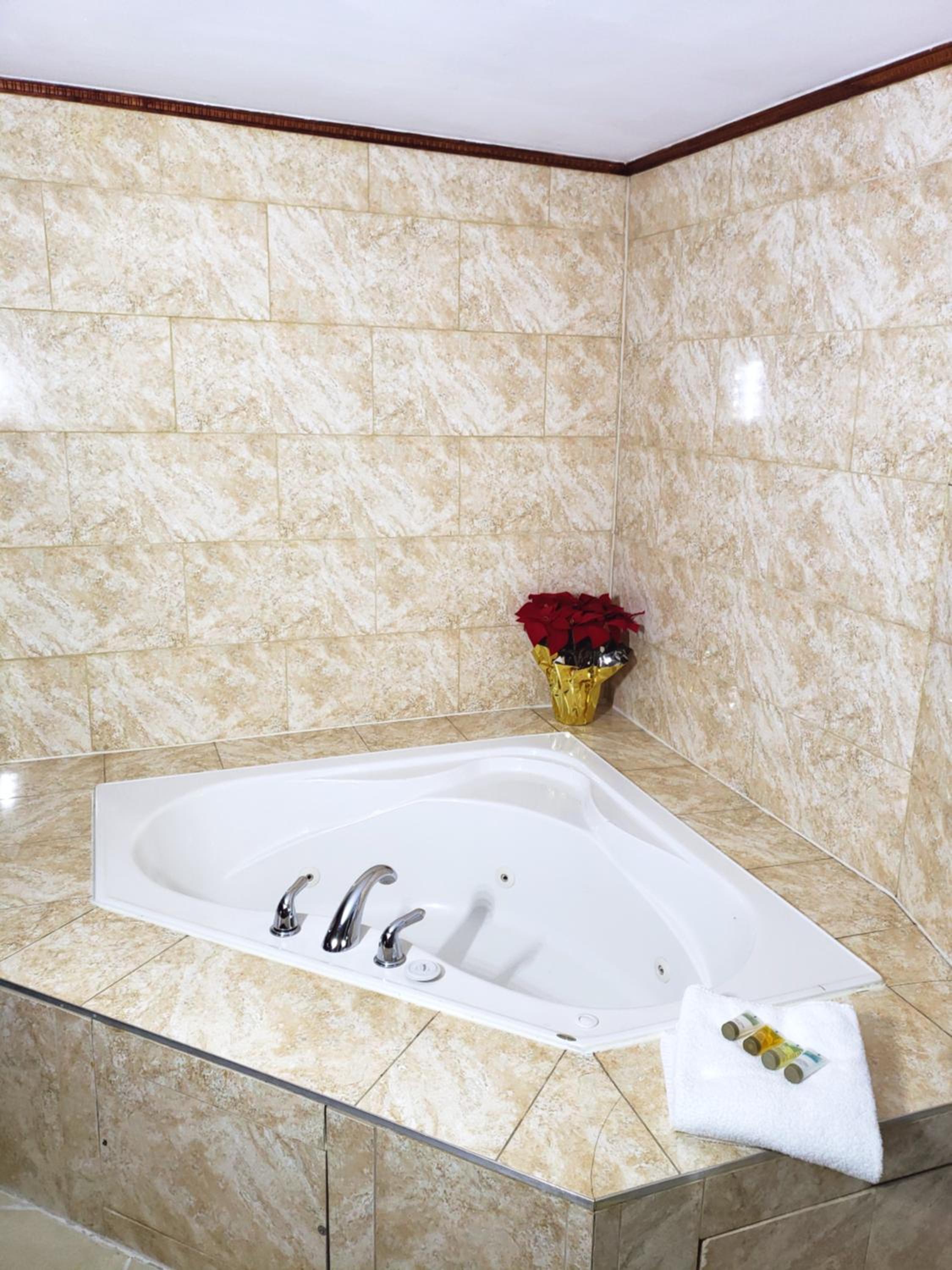 Regency Inn & Suites 30/33