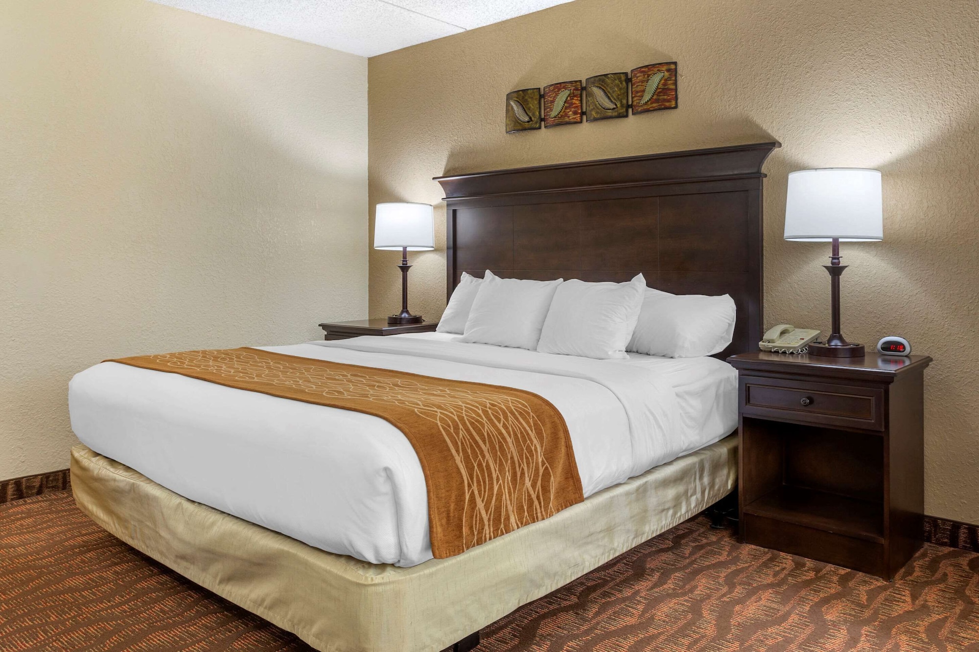 ROOM, KING BED, ACCESSIBLE