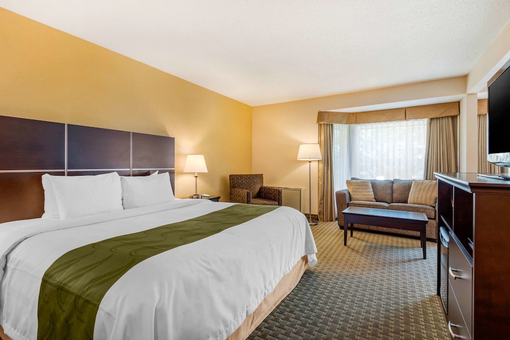 غرفة قياسية بسرير كينج مع أريكة، Quality Inn and Suites Brampton 5/10
