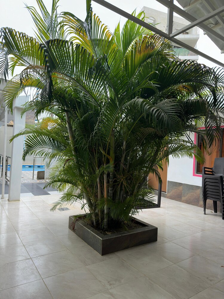 Hotel Casa Mathilu 42/46