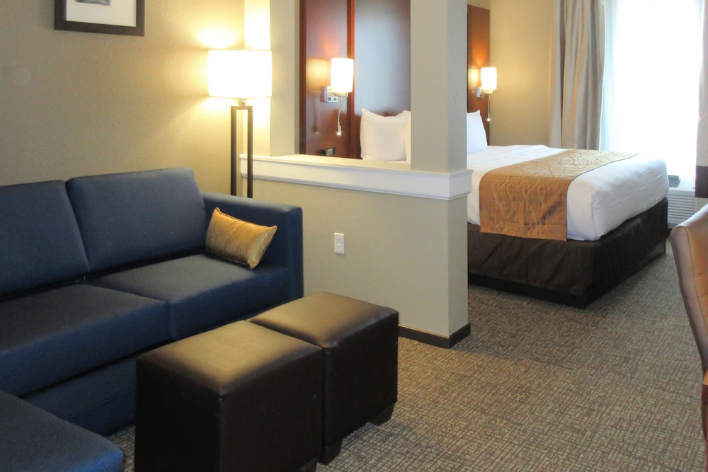 Comfort Inn & Suites Boise Airport 35/51