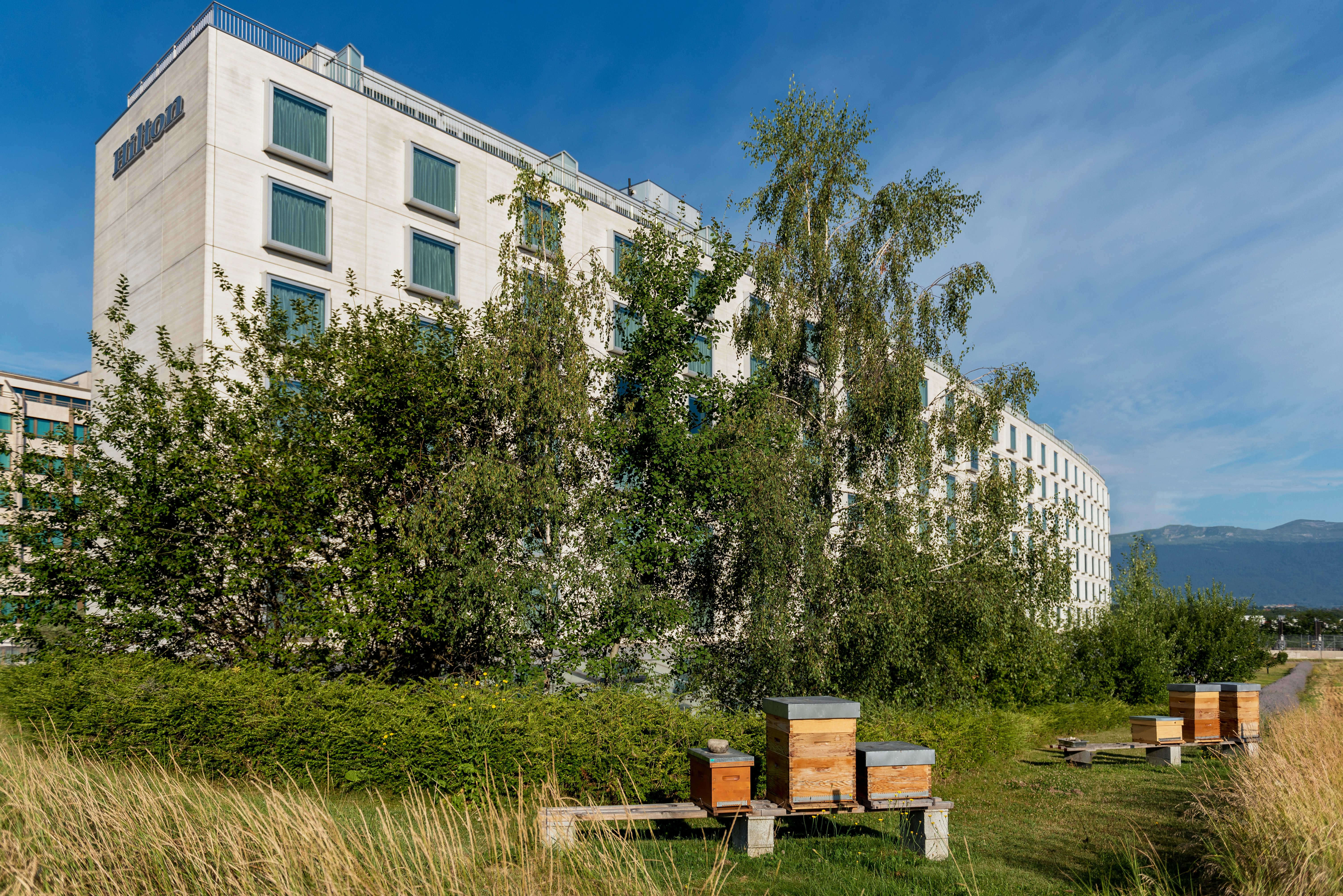 Hilton Geneva Hotel and Conference Centre (EX-Starling E EX-Crowne) 80/81