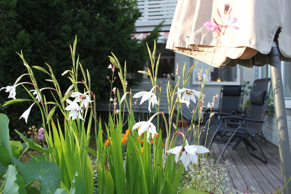 Hotell Zlafen Bed And Breakfast 39/46