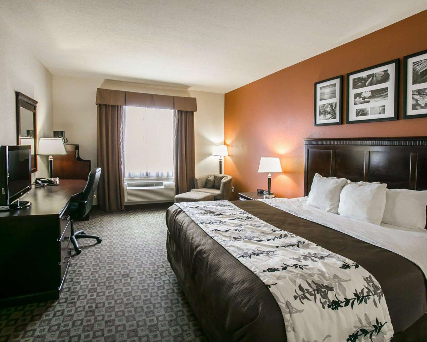 Sleep Inn Suites Highway 290 Nw Freeway 6/24