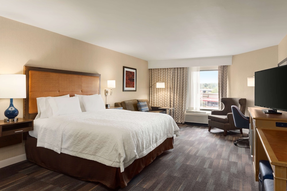 Mini, Suite, King Bed, Sofa