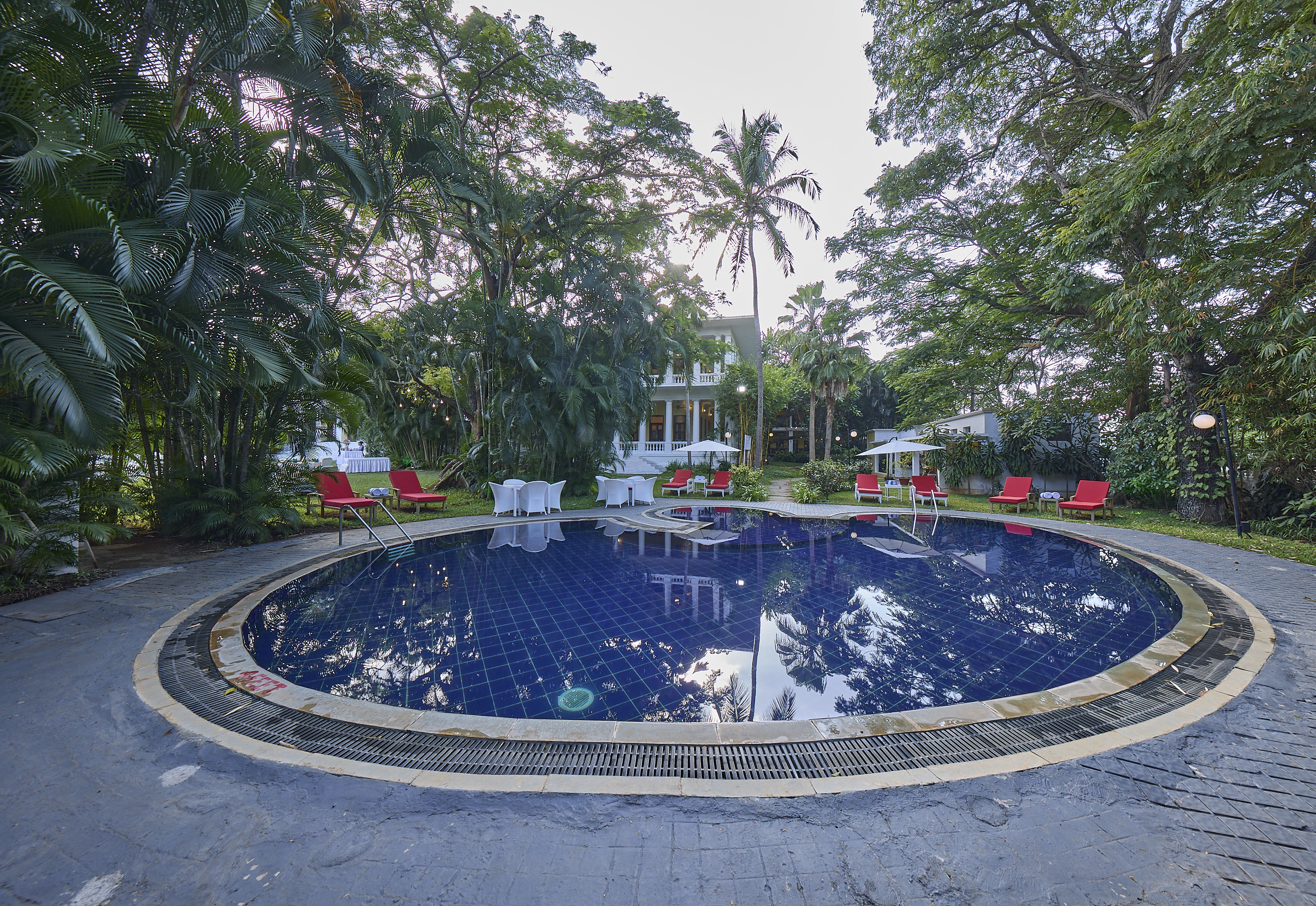 Royal Orchid Metropole 12/13