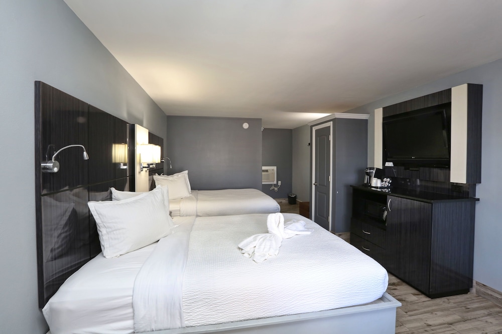 STANDARD, SINGLE, KING BED, ACCESSIBLE
