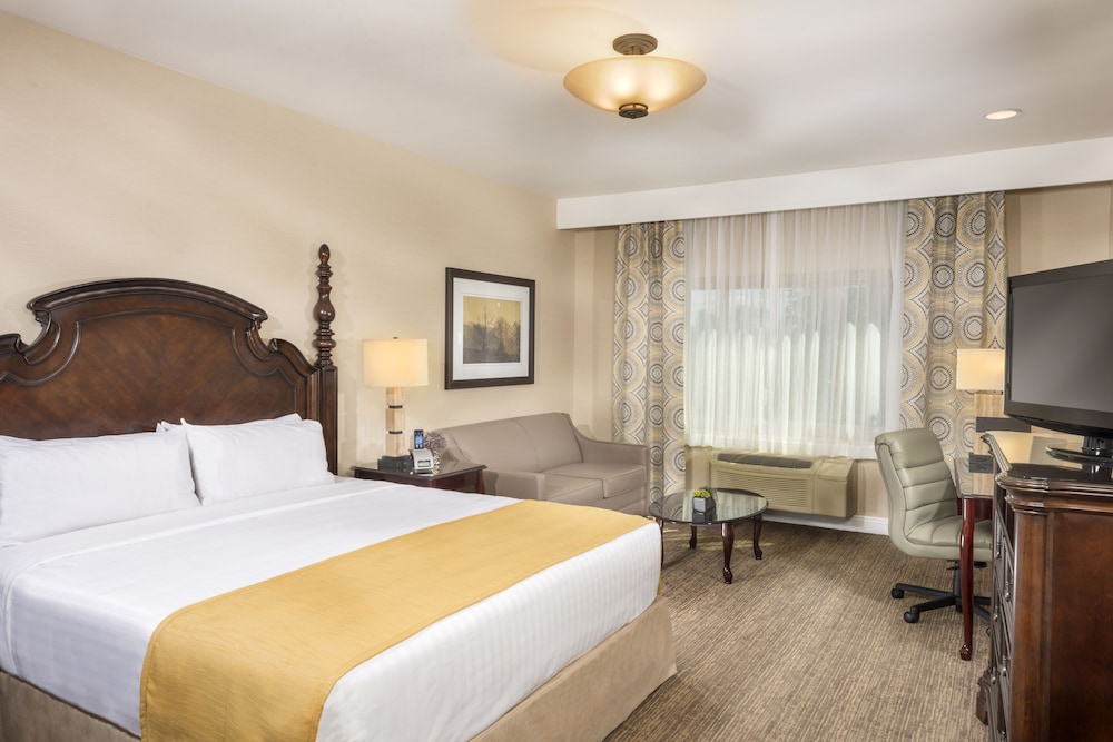 EXECUTIVE, STUDIO, SUITE, KING BED