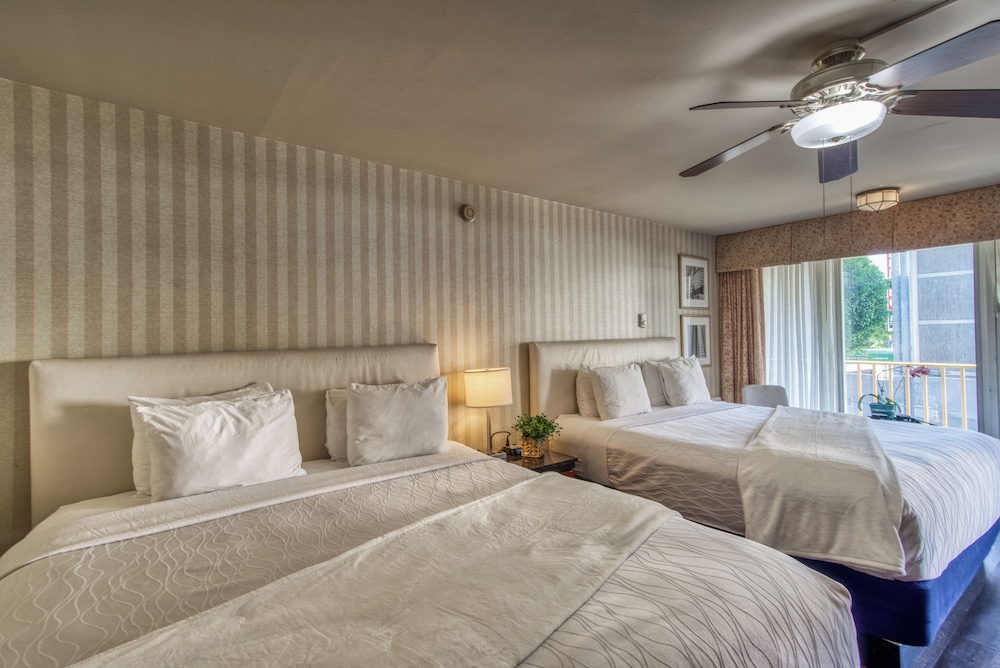 PREMIUM, 2 KING BEDS