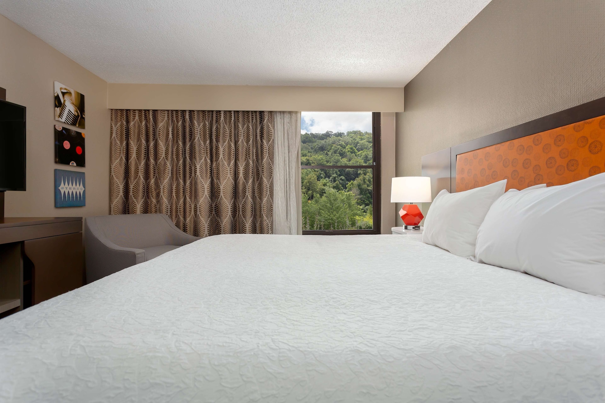Room at Hampton Inn Bristol, BRISTOL - TN