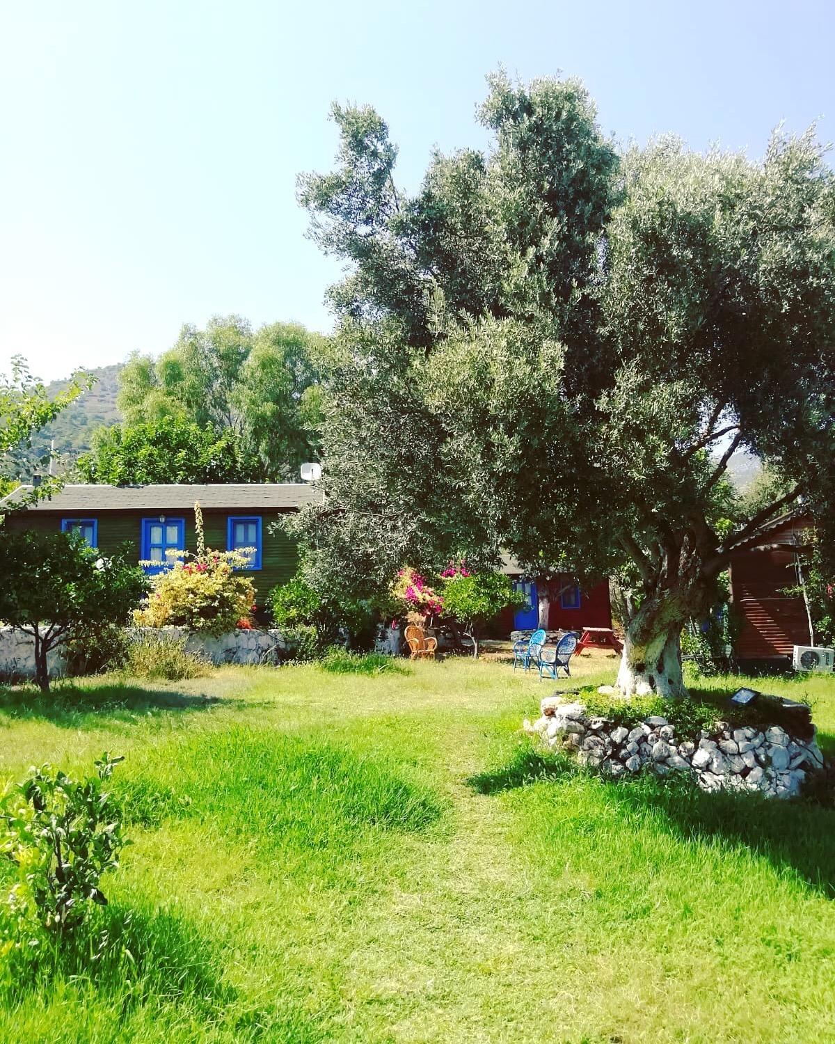 Bahar Bahce Datca 36/39
